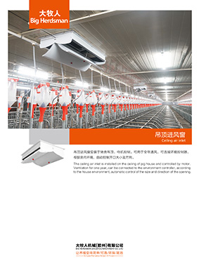 Ceiling air inlet